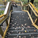 Fiberglass grating steps with wire mesh handrail inserts in a national park, similar to products provided by Direct Metals®.